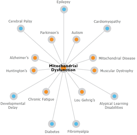What is Mitochondrial Disease